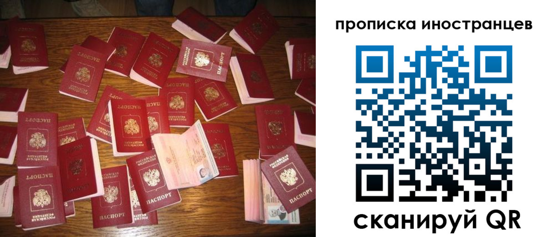 найти адрес прописки в Тольятти